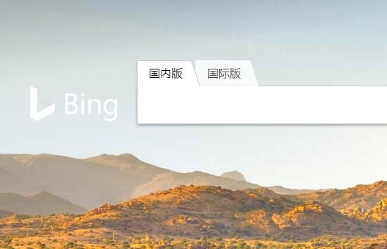 必應(yīng)搜索被曝包含兒童色情內(nèi)容，微軟：將努力修復(fù)